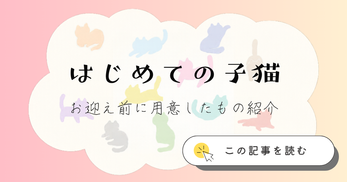 はじめての子猫のお迎え前に用意したものを紹介する記事のアイキャッチ画像