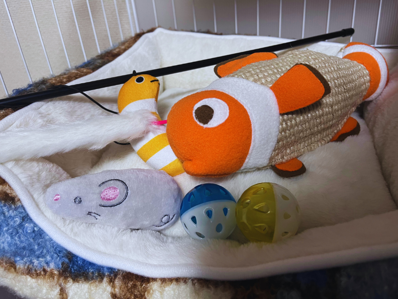 猫用ベッドの上に並べた猫用おもちゃ。s魚型のおもちゃ、猫じゃらし、ネズミのぬいぐるみ、ボール2つ